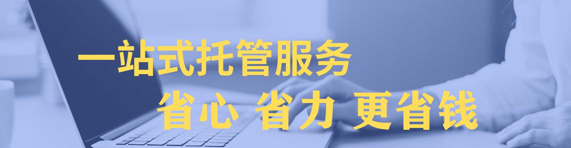 紫云布sem怎么做